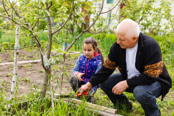 Family Garden