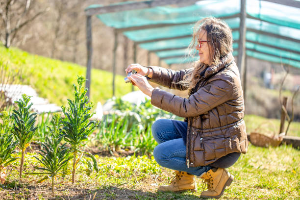 Garden Growth