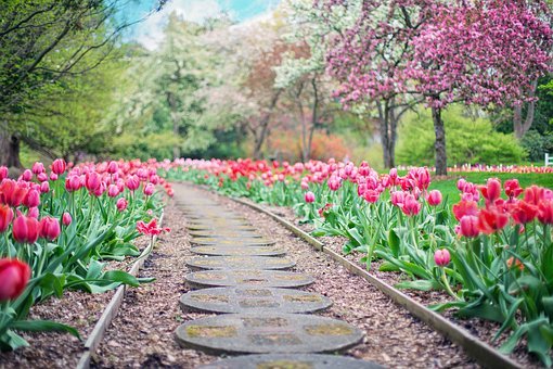 Red Flower Pathway